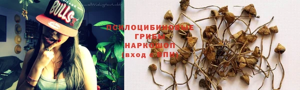 первитин Заводоуковск