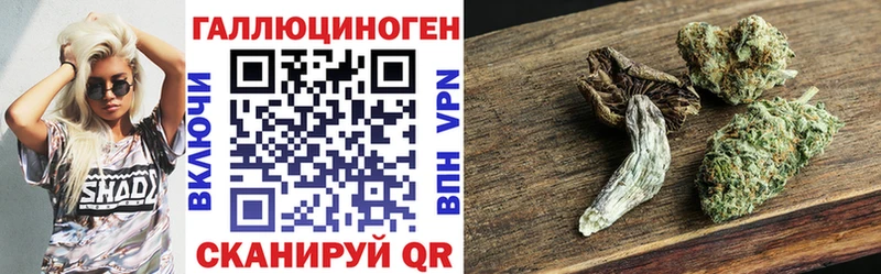 Купить закладки  Миньяр  Галлюциногенные грибы мицелий 